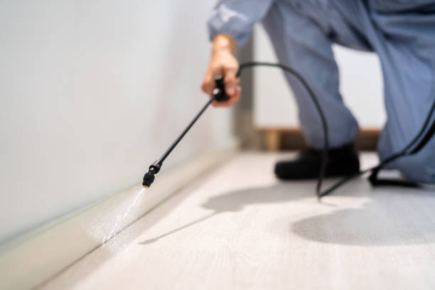 Licensed Mosquito Control service in Springfield, CO - Show Me Pest Control