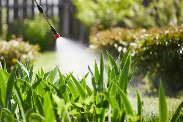 24/7 Emergency Mosquito Control experts in Springfield, CO