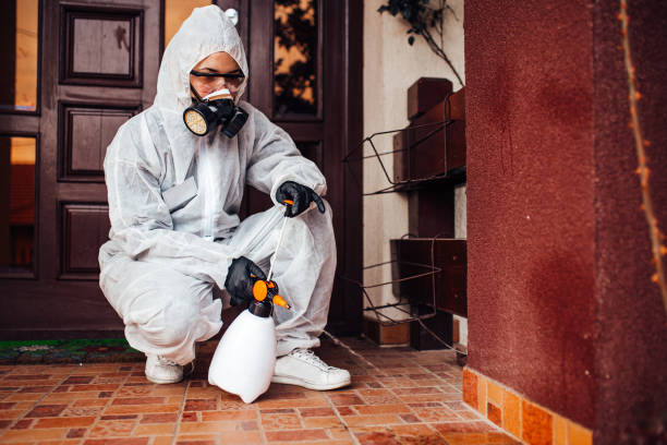 Reliable Mosquito Control contractor in Springfield, CO by Show Me Pest Control