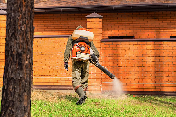 Top rated local Mosquito Control specialists in Springfield, CO
